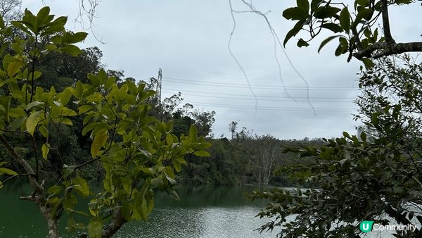 呢條行山路線行走上嚟唔會太demanding嘅路線。