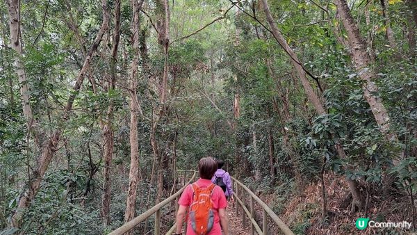 《東涌至梅窩行山篇》東梅古道、香港奧運徑、梅窩銀礦洞