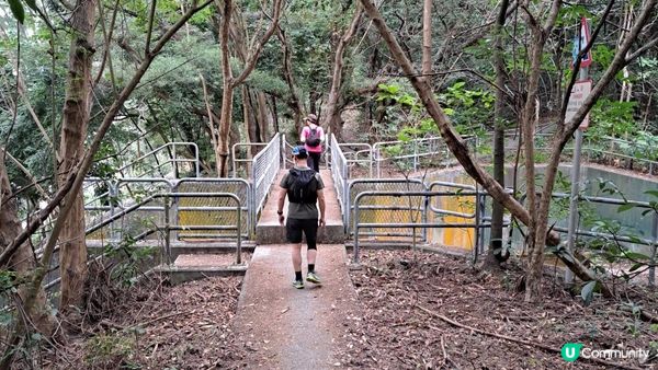 《東涌至梅窩行山篇》東梅古道、香港奧運徑、梅窩銀礦洞