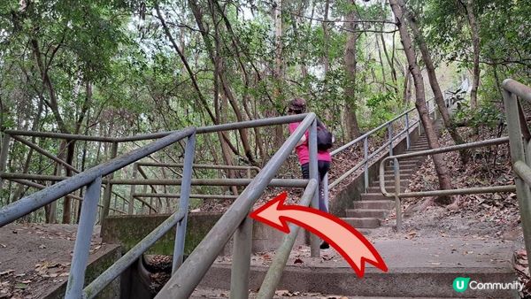 《東涌至梅窩行山篇》東梅古道、香港奧運徑、梅窩銀礦洞