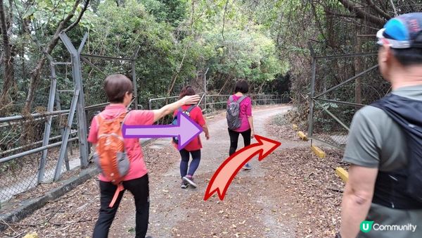 《東涌至梅窩行山篇》東梅古道、香港奧運徑、梅窩銀礦洞