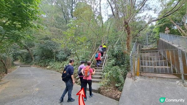 《東涌至梅窩行山篇》東梅古道、香港奧運徑、梅窩銀礦洞