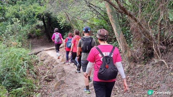 《東涌至梅窩行山篇》東梅古道、香港奧運徑、梅窩銀礦洞