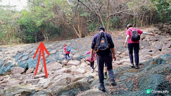 《東涌至梅窩行山篇》東梅古道、香港奧運徑、梅窩銀礦洞