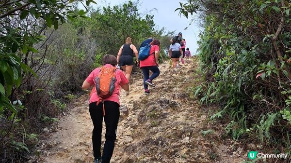 《東涌至梅窩行山篇》東梅古道、香港奧運徑、梅窩銀礦洞