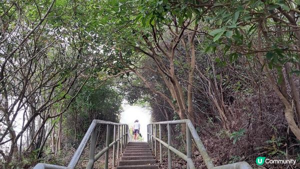 《東涌至梅窩行山篇》東梅古道、香港奧運徑、梅窩銀礦洞