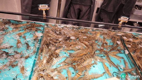 這間位於九龍灣千海水產海鮮放題，自夾任選海鮮 