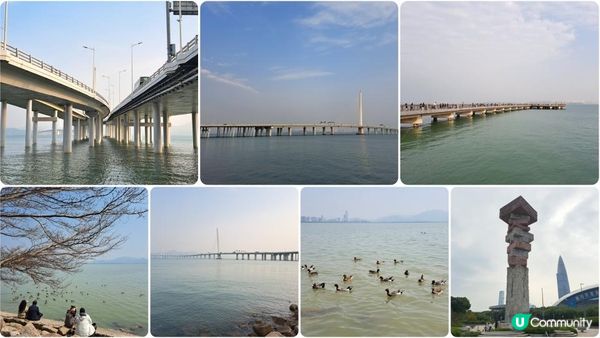 【深圳灣濱海綠道遊】深圳灣公園徒步至蛇口市場 ➕️ 蛇口市場