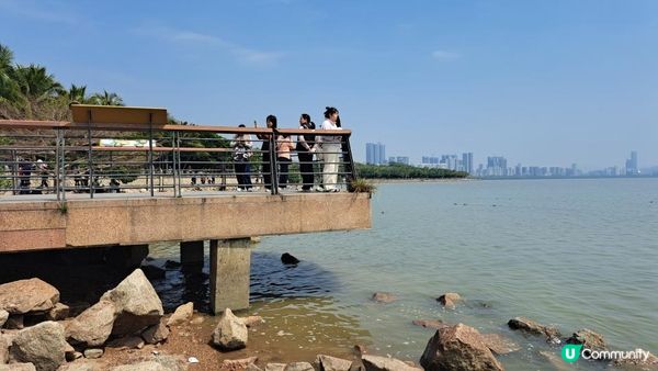 【深圳灣濱海綠道遊】深圳灣公園徒步至蛇口市場 ➕️ 蛇口市場
