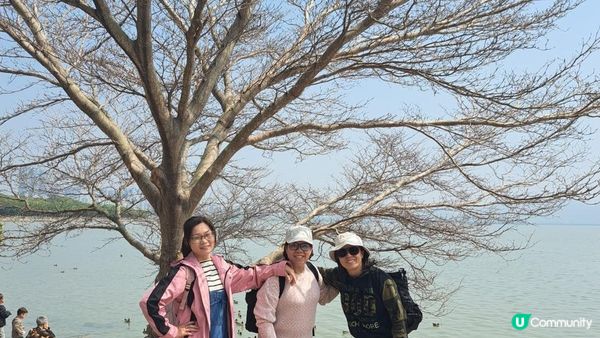 【深圳灣濱海綠道遊】深圳灣公園徒步至蛇口市場 ➕️ 蛇口市場