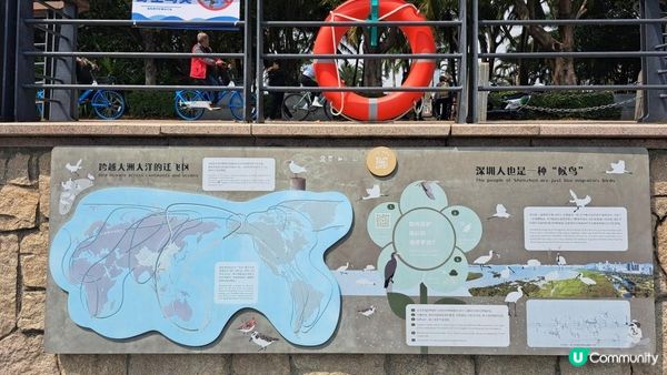 【深圳灣濱海綠道遊】深圳灣公園徒步至蛇口市場 ➕️ 蛇口市場