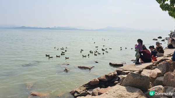 【深圳灣濱海綠道遊】深圳灣公園徒步至蛇口市場 ➕️ 蛇口市場