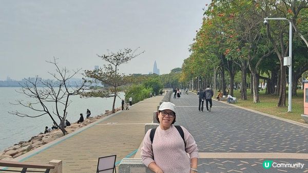 【深圳灣濱海綠道遊】深圳灣公園徒步至蛇口市場 ➕️ 蛇口市場