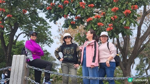 【深圳灣濱海綠道遊】深圳灣公園徒步至蛇口市場 ➕️ 蛇口市場