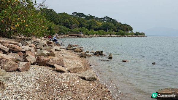 【深圳灣濱海綠道遊】深圳灣公園徒步至蛇口市場 ➕️ 蛇口市場