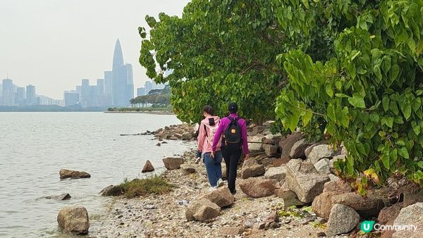 【深圳灣濱海綠道遊】深圳灣公園徒步至蛇口市場 ➕️ 蛇口市場