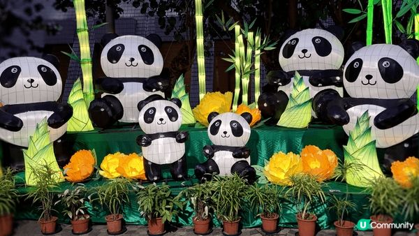 跑馬地馬場Happy Wednesday，山頂蠟像館草間彌生...