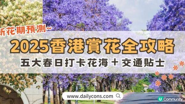 2025香港賞花全攻略︱五大春日打卡花海＋交通貼士(附最新花期預測)