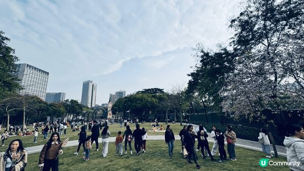 不用去荷蘭，都有得喺荷蘭花卉小鎮睇風車+花海瀑布