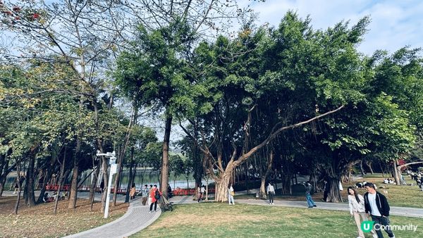 不用去荷蘭，都有得喺荷蘭花卉小鎮睇風車+花海瀑布