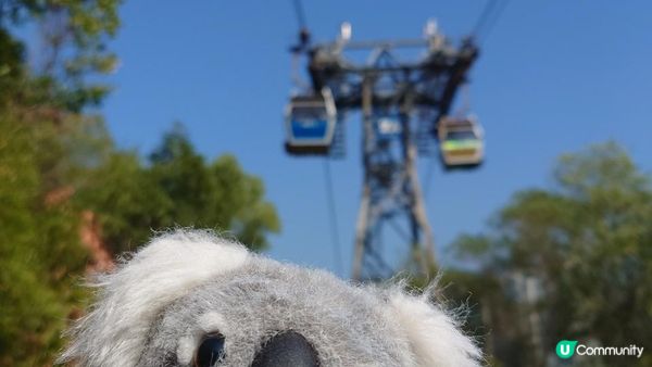 漫遊香港 - 東涌 赤鱲角 機場櫻花園