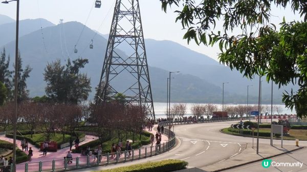 漫遊香港 - 東涌 赤鱲角 機場櫻花園