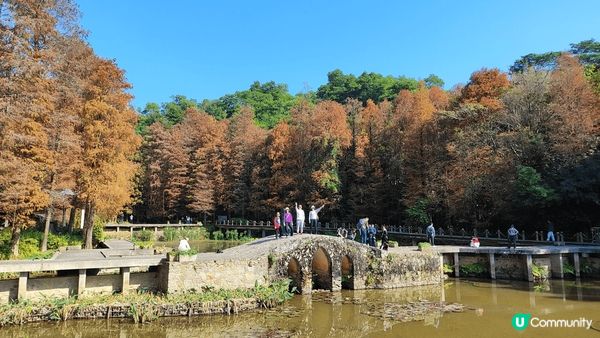 深圳仙湖植物公園