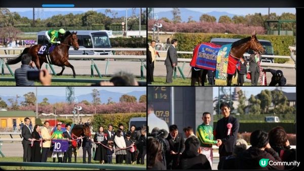 莫雷拉兩日贏六場