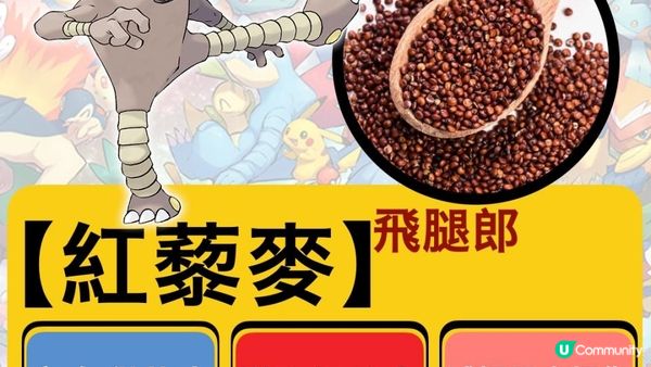 寶可夢界嘅泰森拳王🥊三色藜麥