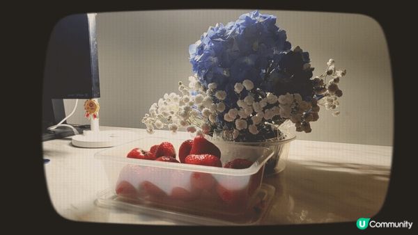 旅行地點：日本熊本縣；冬季必買手信係當地盛產嘅士多啤梨。因為...