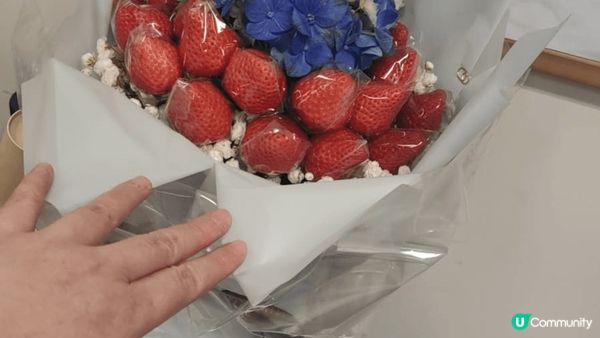 旅行地點：日本熊本縣；冬季必買手信係當地盛產嘅士多啤梨。因為...