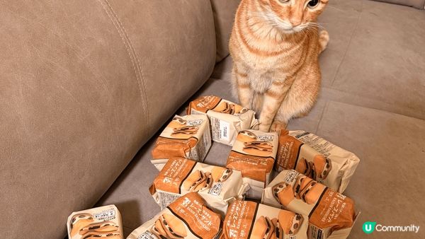 ⭐️日本旅行必買手信⭐️
