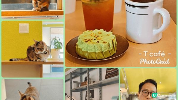 我最喜愛周遊列國，不論自遊行（新西蘭），跟團（土耳其）形式或...