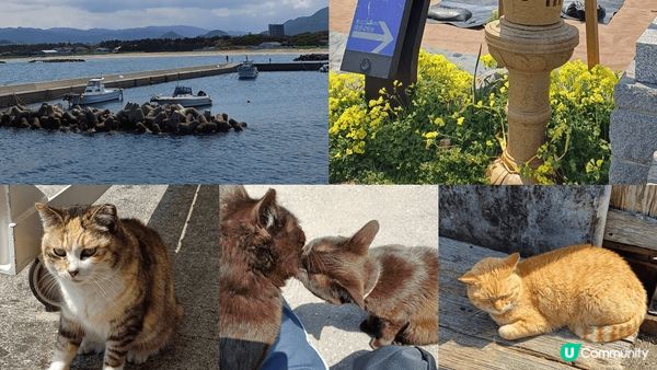 岩岩同屋企人去完福岡旅行，人生第一次去日本好開心，跟住我妹佢...