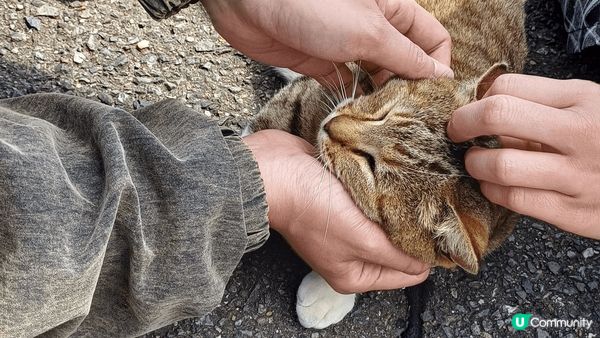 岩岩同屋企人去完福岡旅行，人生第一次去日本好開心，跟住我妹佢...