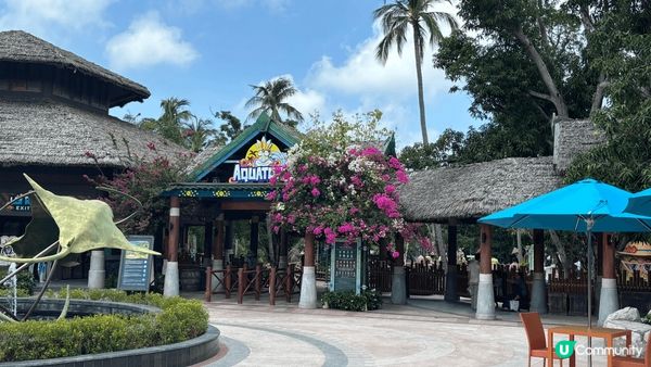 上星期去了越南富國島旅遊，坐了全球最長跨海纜車欣賞香島美麗風...
