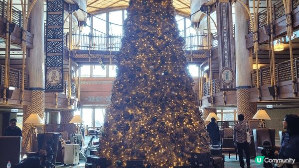 聖誕去旅行，酒店有一座好靚嘅聖誕樹，好有節日氣氛，連空氣都感...