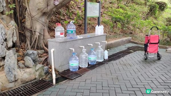 深圳地鐵12線中山公園站往中山公園內水源。