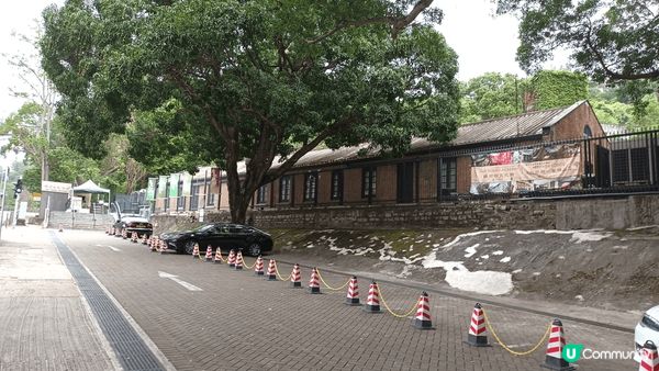 喺大都市上，尋找森林和原野的境地，系上野公園嘅樹叢，晚上每顆...