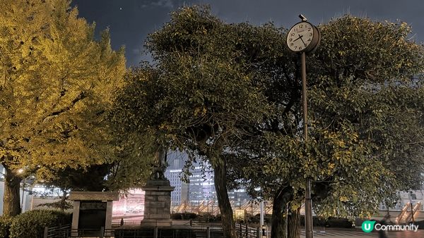 喺大都市上，尋找森林和原野的境地，系上野公園嘅樹叢，晚上每顆...