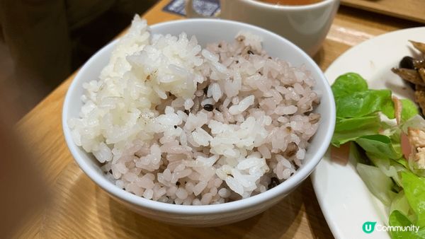 下載新版手機程式可以限期內九拆，購物及飲食皆可！