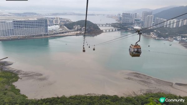 大嶼山一日遊，春天暢游百花齊放 #旅行/郊遊 #打卡熱點 #...