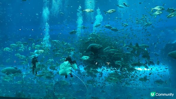 富國島珍珠遊樂園