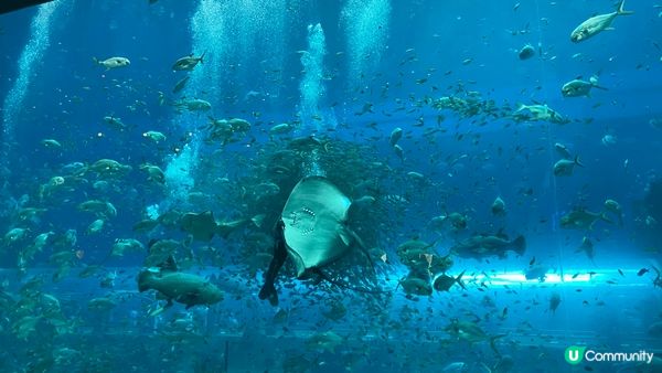 富國島珍珠遊樂園