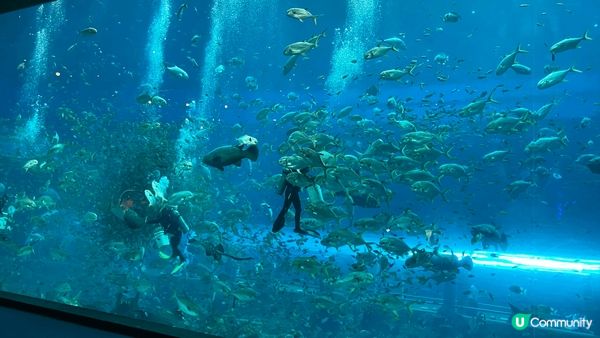 富國島珍珠遊樂園