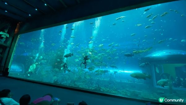 富國島珍珠遊樂園