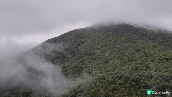 山頂景靚。心曠神怡。居高臨下。