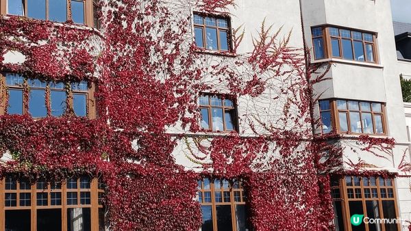 愛爾蘭之旅，很美麗的景色，也是文化遺產之一。