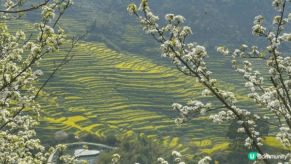 久聞婺源大名，今天冒著烈日遊覽, 真是不枉此行處處也是景～攝...