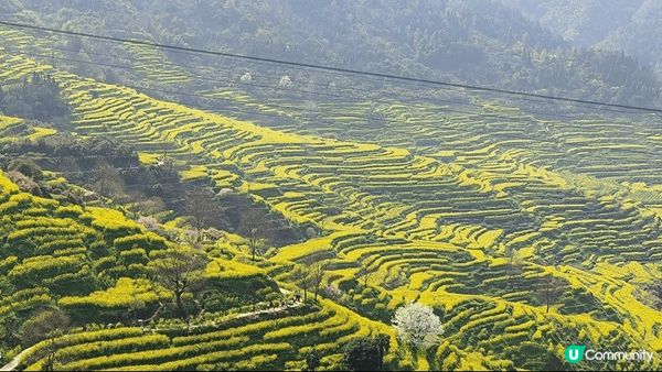 久聞婺源大名，今天冒著烈日遊覽, 真是不枉此行處處也是景～攝...